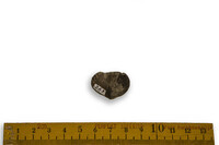 F 00263
<br/>
<br/>
<em></em>